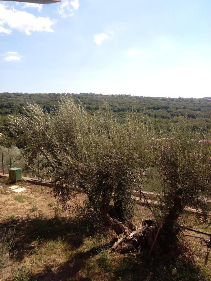 Appartamento V Klancu Dekani Esterno foto